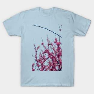 parrots and blossom T-Shirt